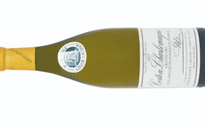 Un Borgoña excepcional en la cata de grandes blancos europeos