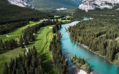 Una ronda de golf diferente: en Canadá, en compañía de animales salvajes